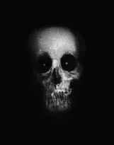 Skull on a black background